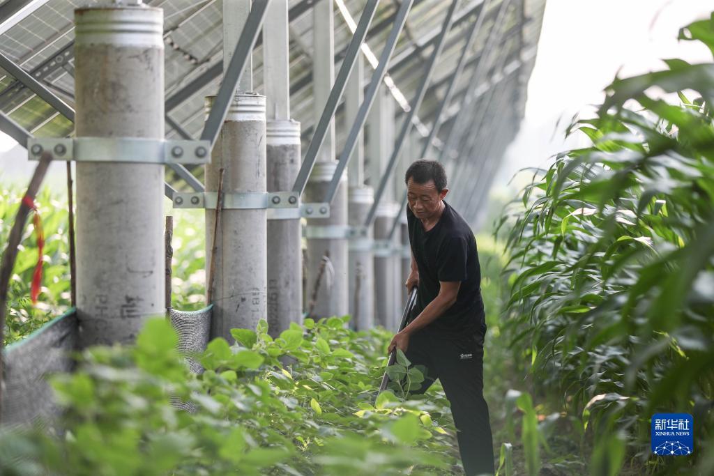 免费送彩金的娱乐网址不限id